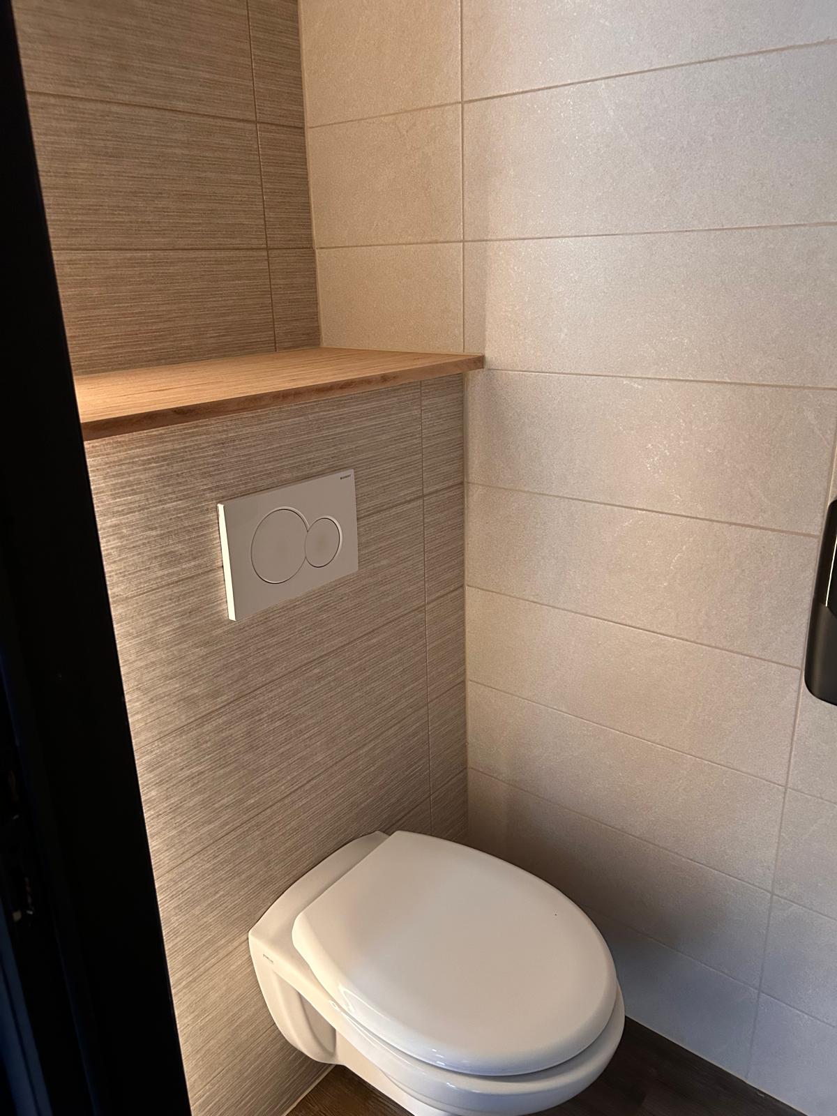 Zottegem - Hangtoilet bij Liv (Stationsstraat)